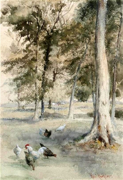 Chickens And Trees