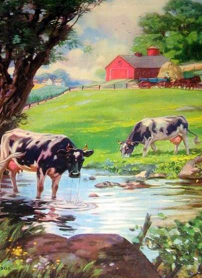 Farm Scene With Cows