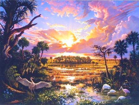 Everglades Painting