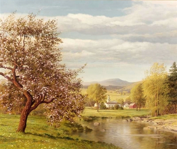 Valley In Spring