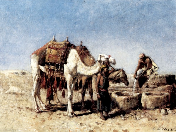 Camels At A Well, Tangiers